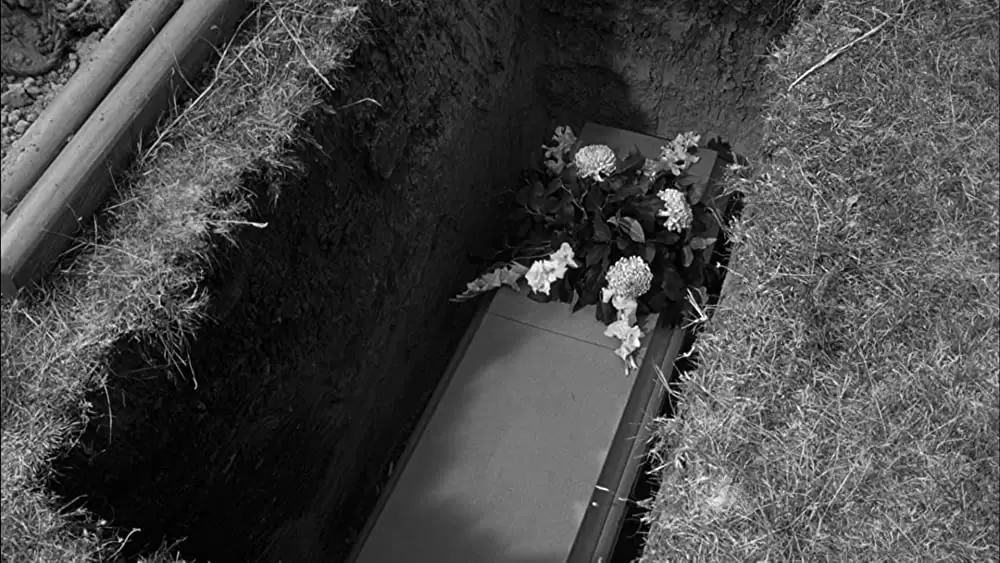 ペーパー・ムーンの画像