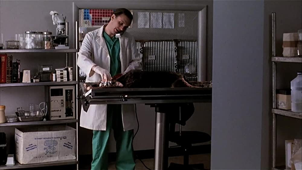 ペット・セメタリー2の画像