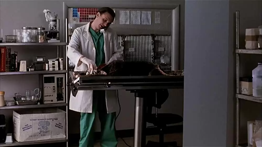 ペット・セメタリー2の画像