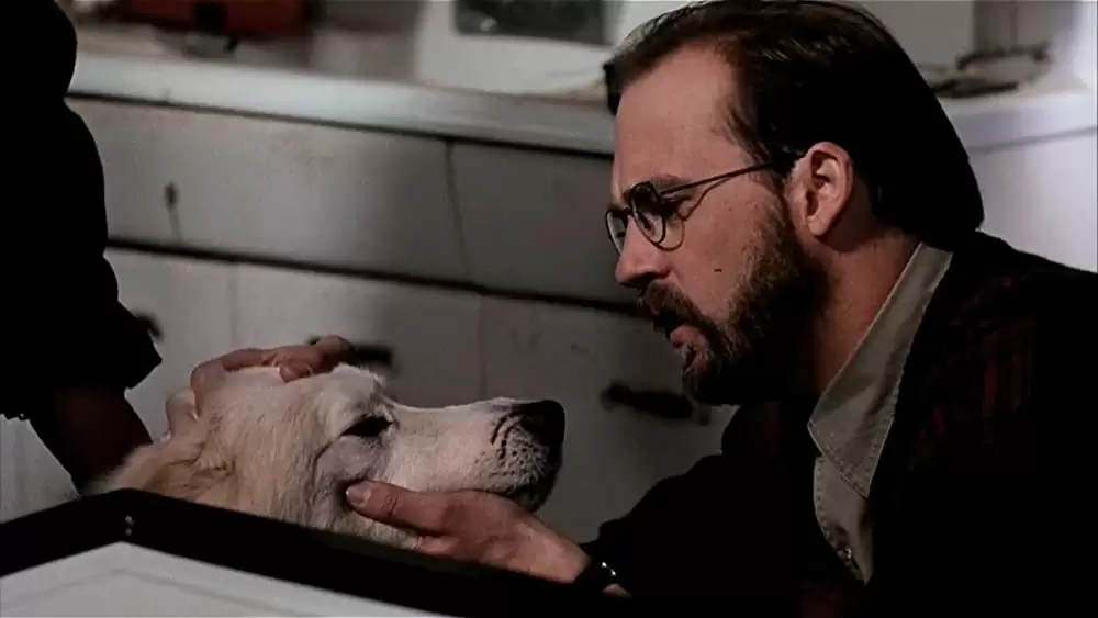 ペット・セメタリー2の画像