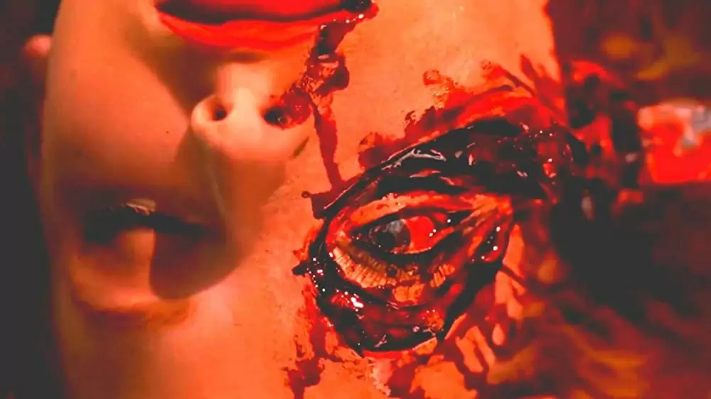 ペット・セメタリー2の画像