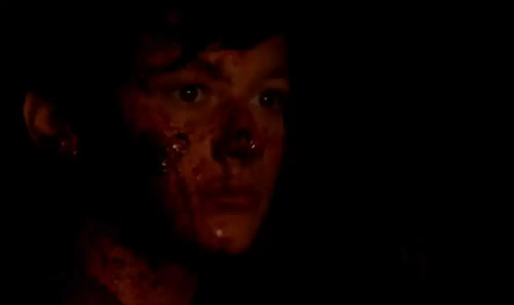 ペット・セメタリー2の画像