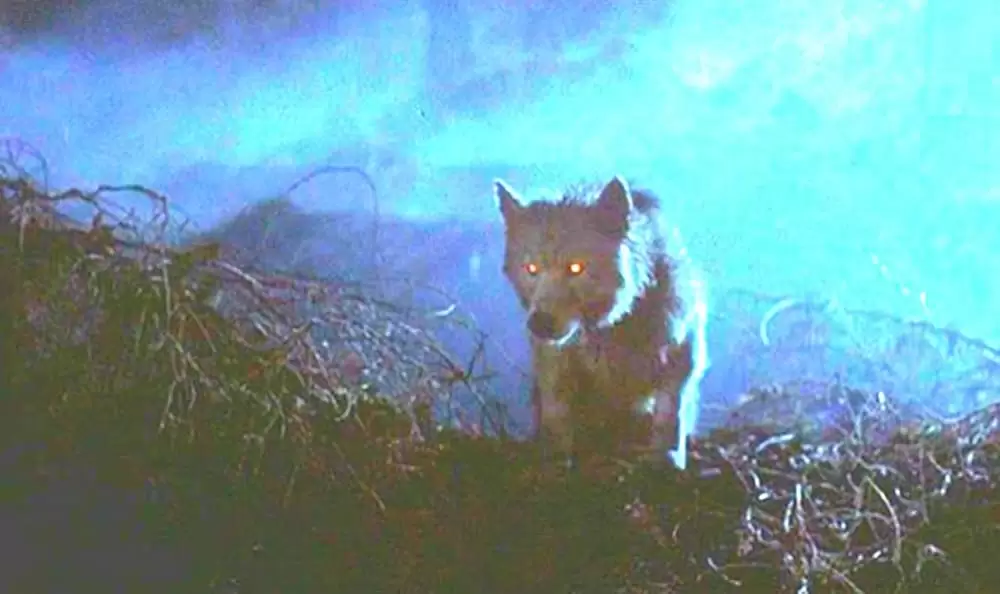 ペット・セメタリー2の画像