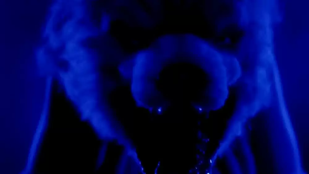 ペット・セメタリー2の画像