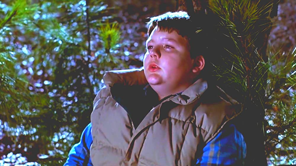 ペット・セメタリー2の画像