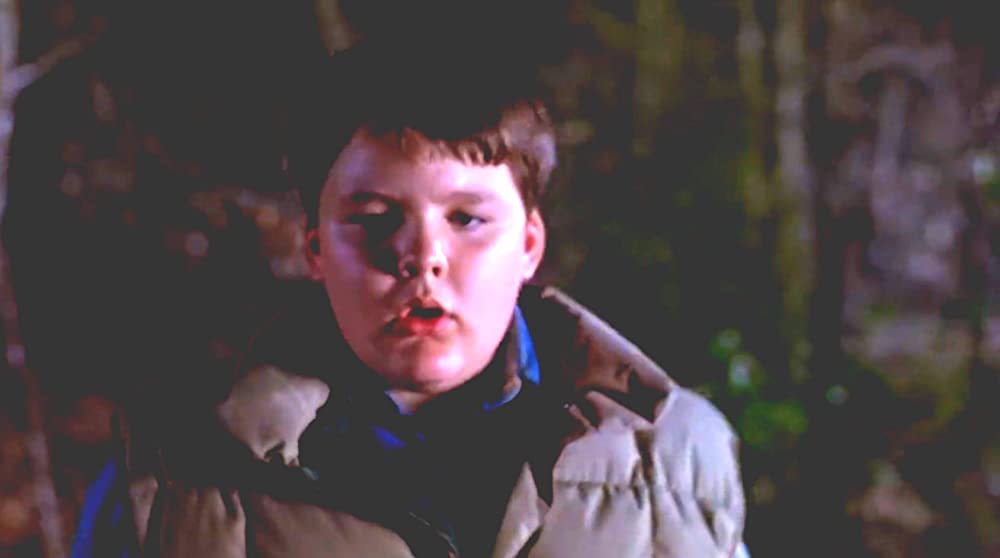 ペット・セメタリー2の画像