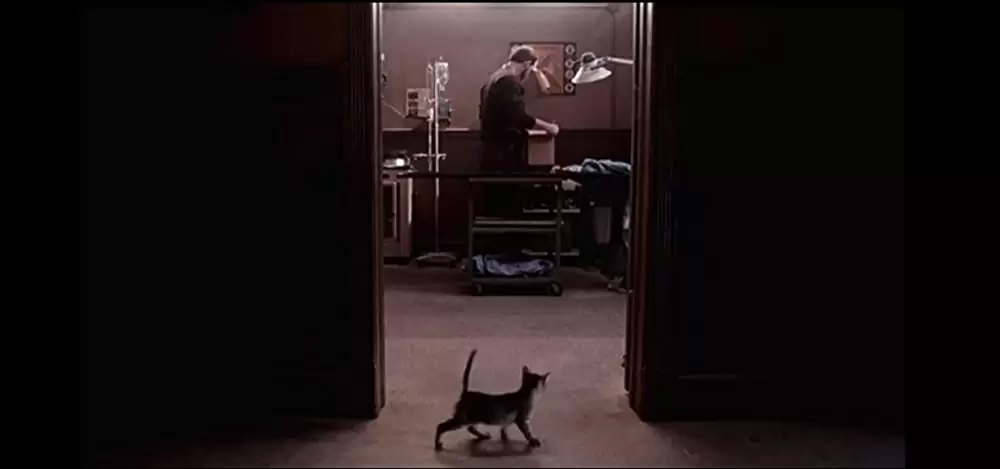 ペット・セメタリー2の画像