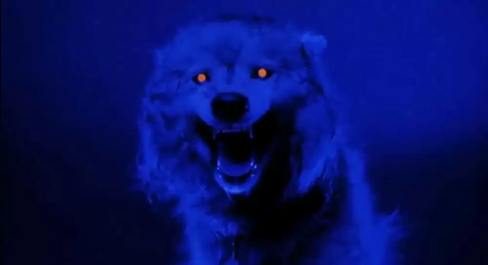 ペット・セメタリー2の画像