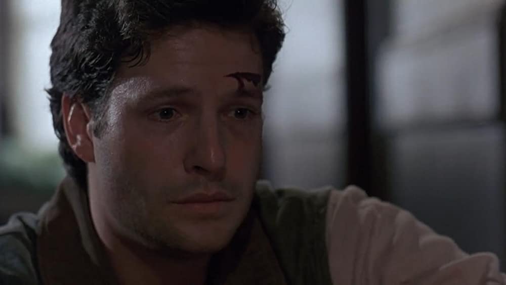 ペット・セメタリー2の画像