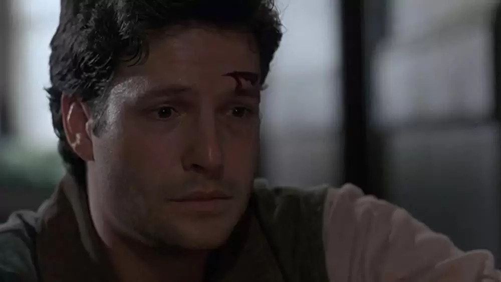 ペット・セメタリー2の画像