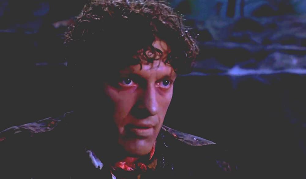 ペット・セメタリー2の画像