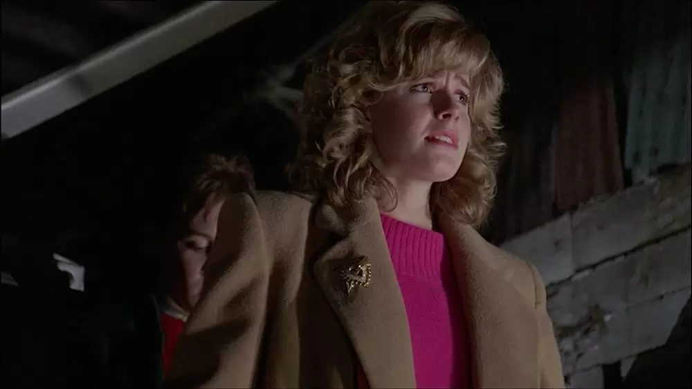 「ベビーシッター・アドベンチャー」エリザベス・シュー & キース・クーガンの画像