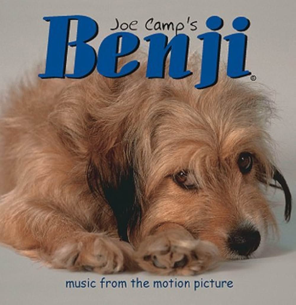 ベンジーの画像