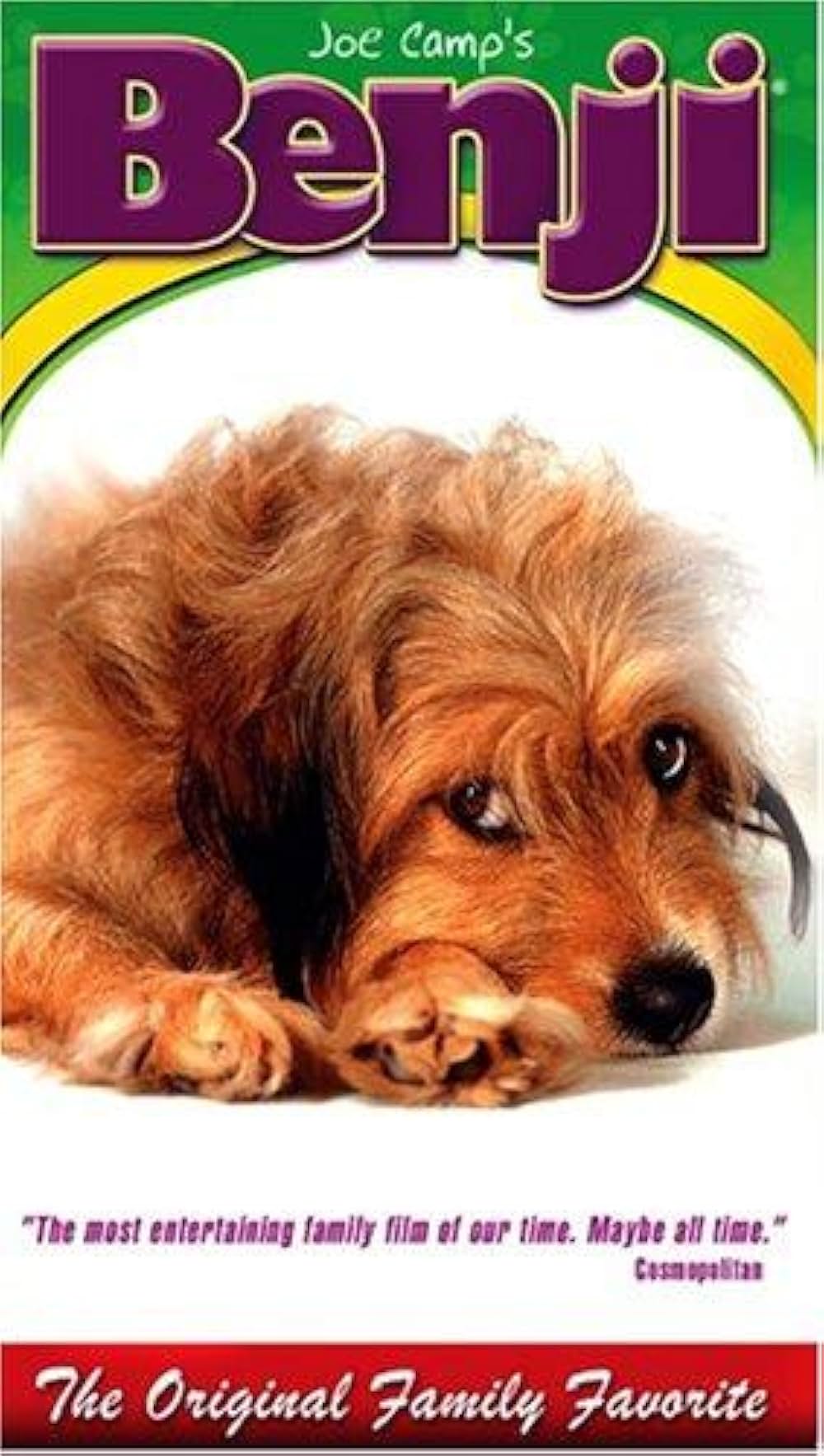 ベンジーの画像