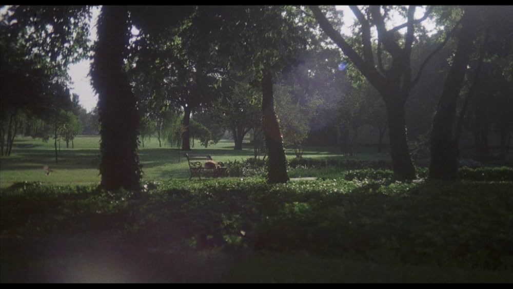 ベンジーの画像