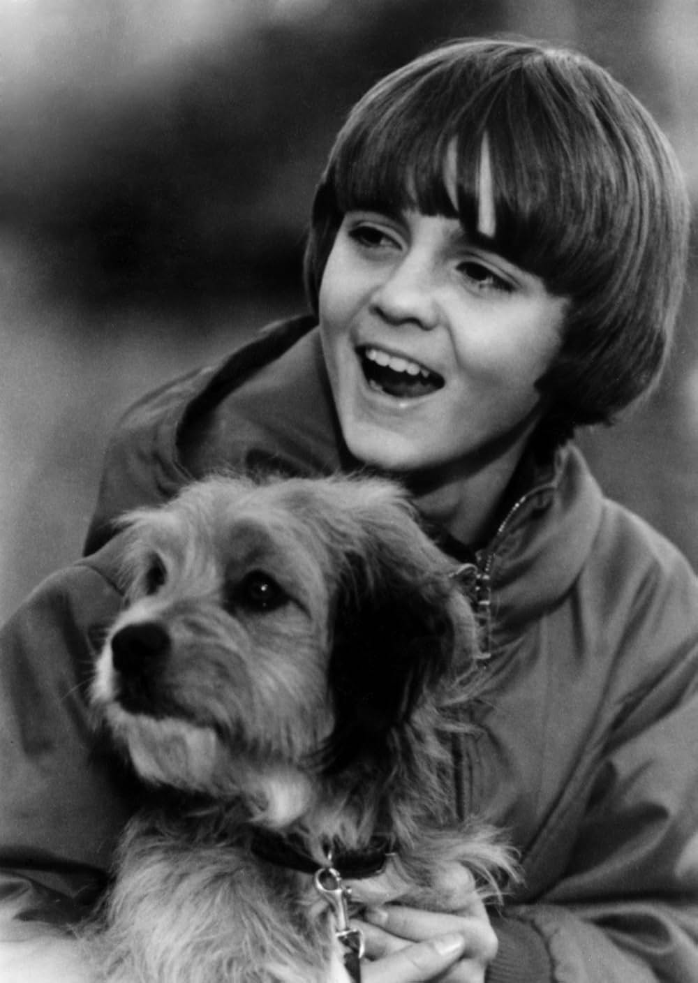 ベンジーの画像