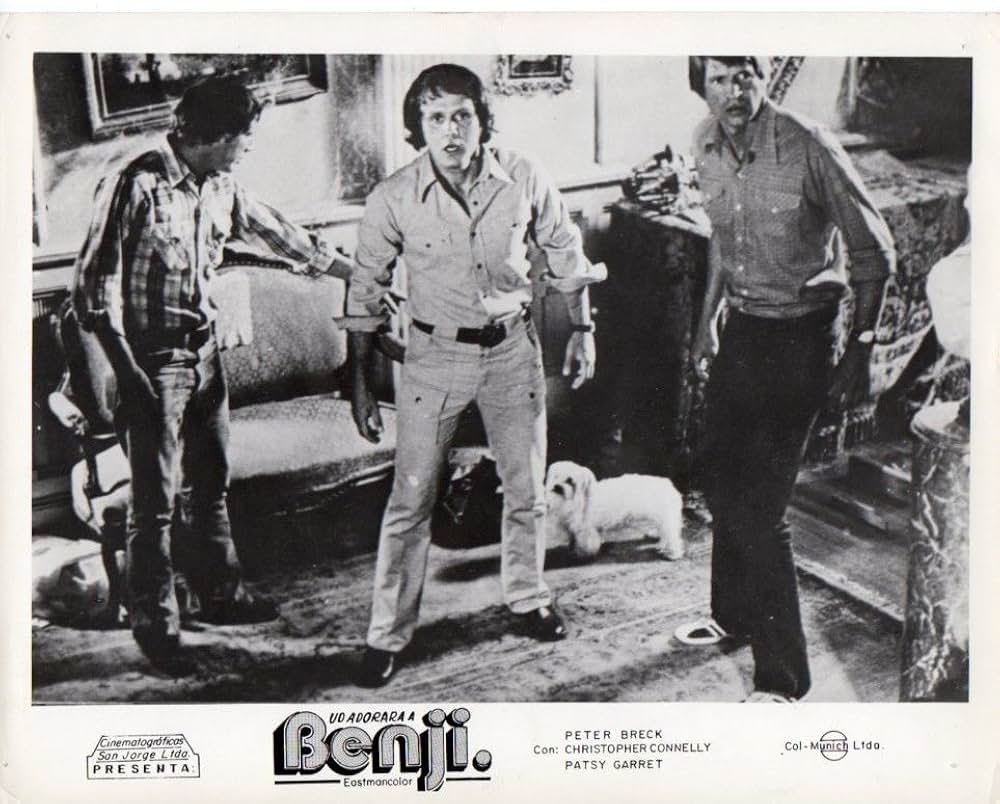 ベンジーの画像