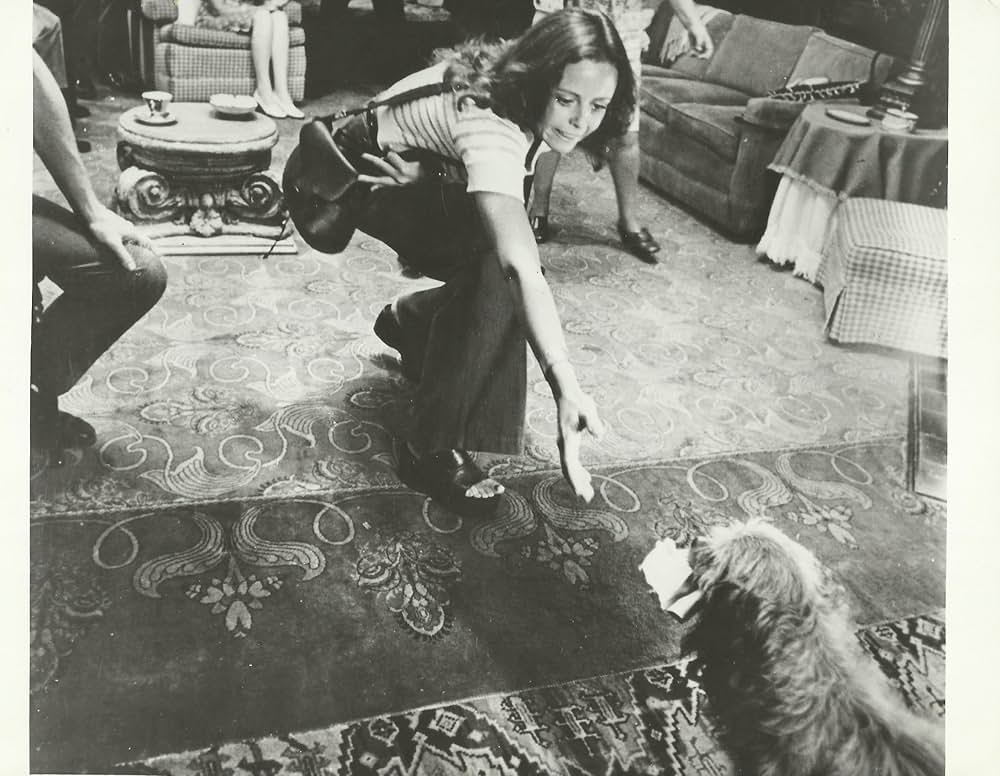 ベンジーの画像