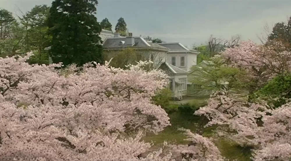 櫻の園 -さくらのその-の画像