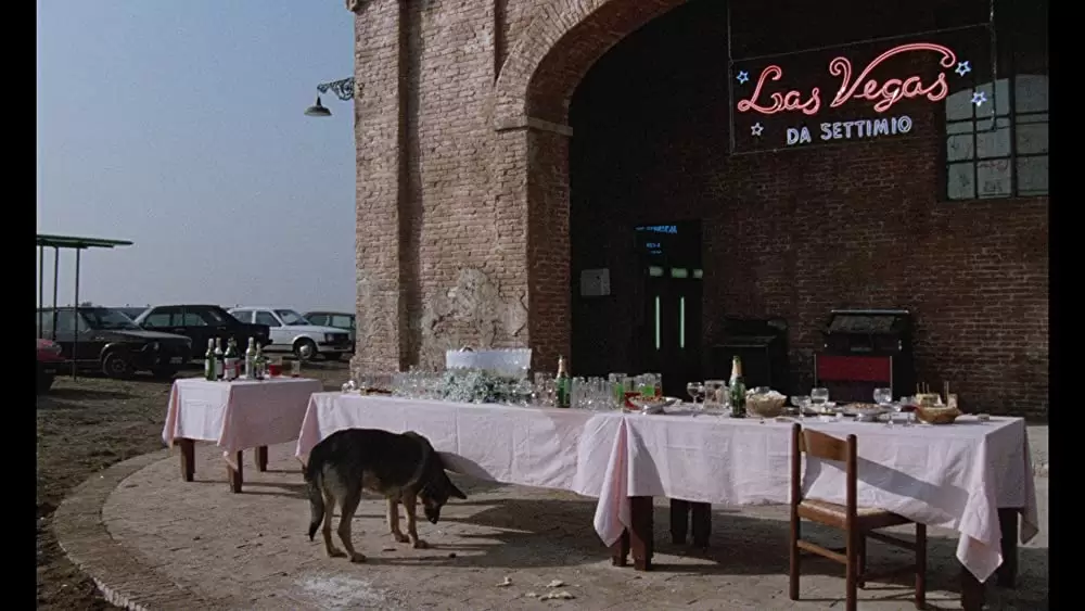 ボイス・オブ・ムーンの画像