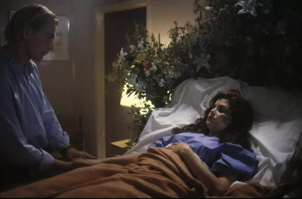 「ボクシング・ヘレナ」シェリリン・フェン & ジュリアン・サンズの画像