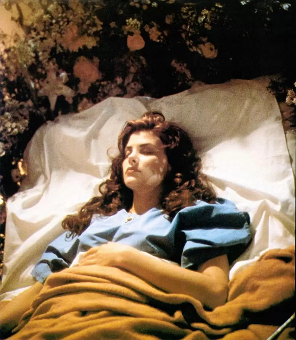 「ボクシング・ヘレナ」シェリリン・フェンの画像