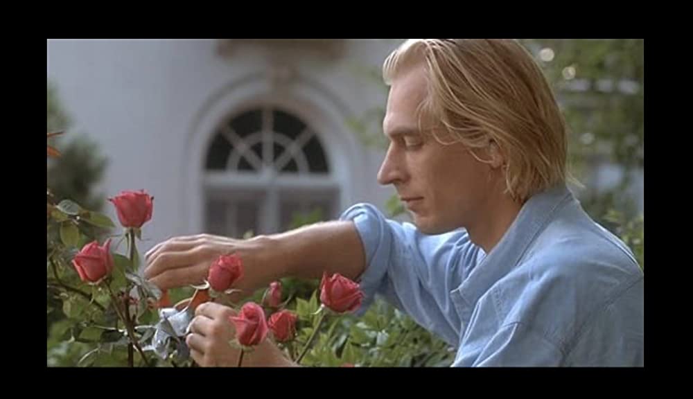 ボクシング・ヘレナの画像