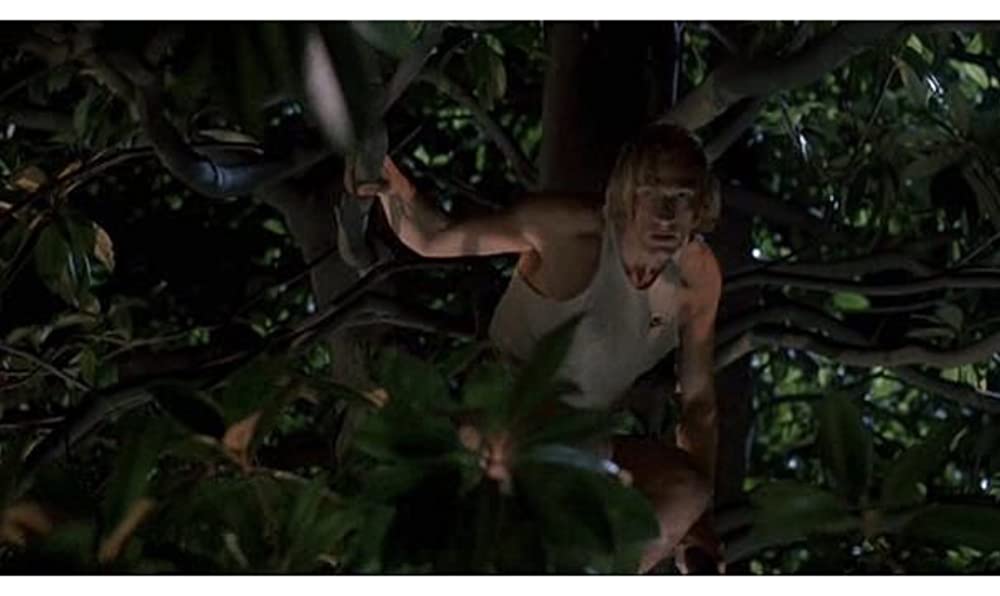 ボクシング・ヘレナの画像