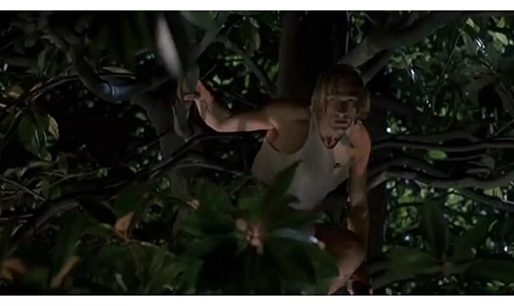 ボクシング・ヘレナの画像