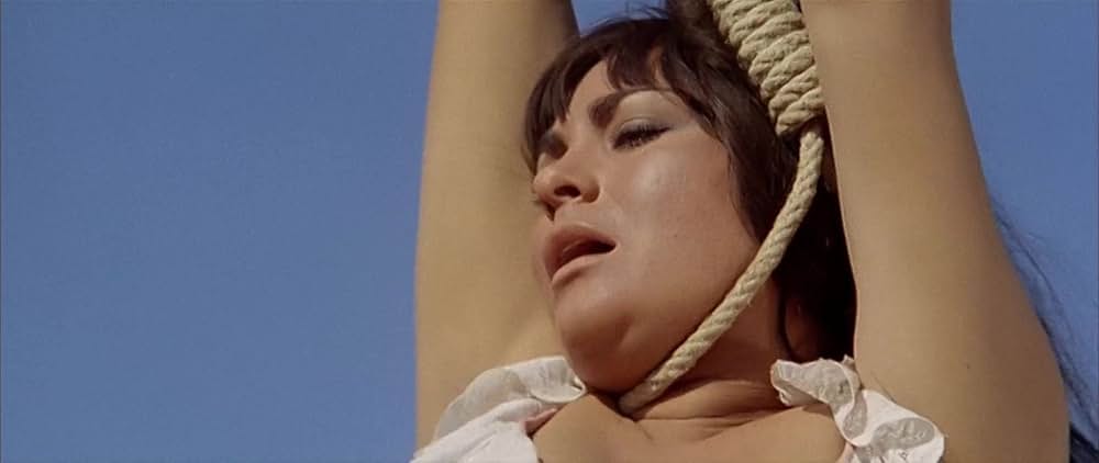 星空の用心棒の画像