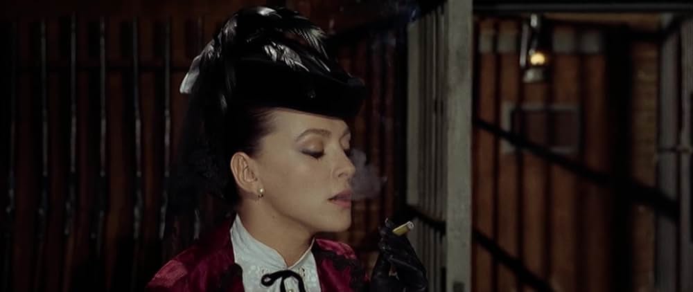 星空の用心棒の画像