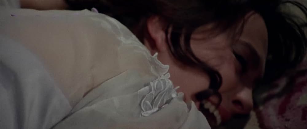 星空の用心棒の画像