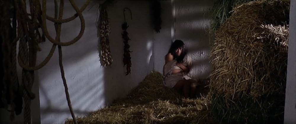 星空の用心棒の画像