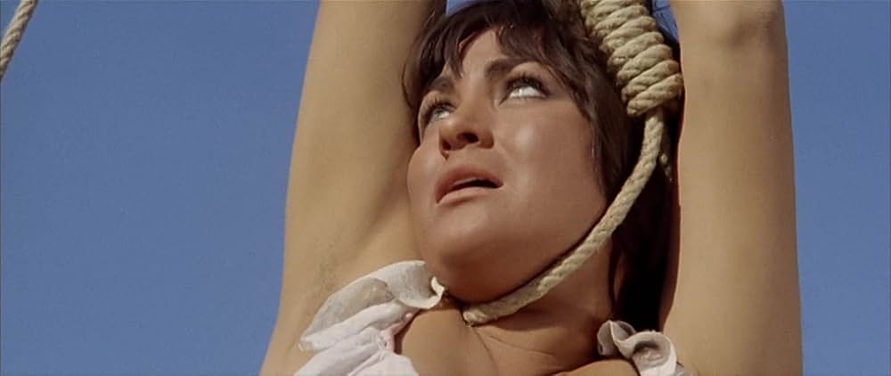 星空の用心棒の画像