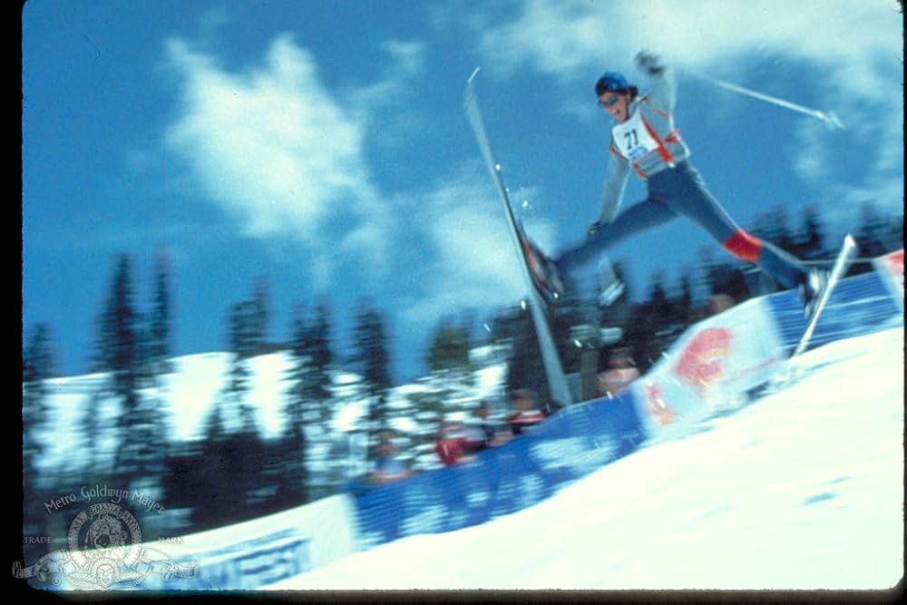 ホットドッグの画像