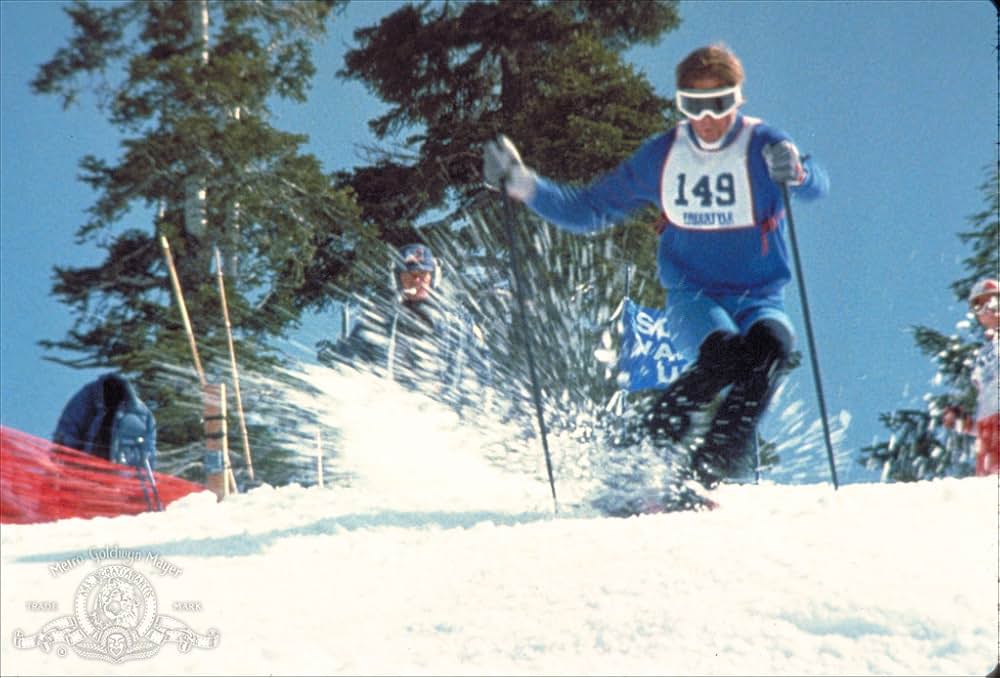 ホットドッグの画像