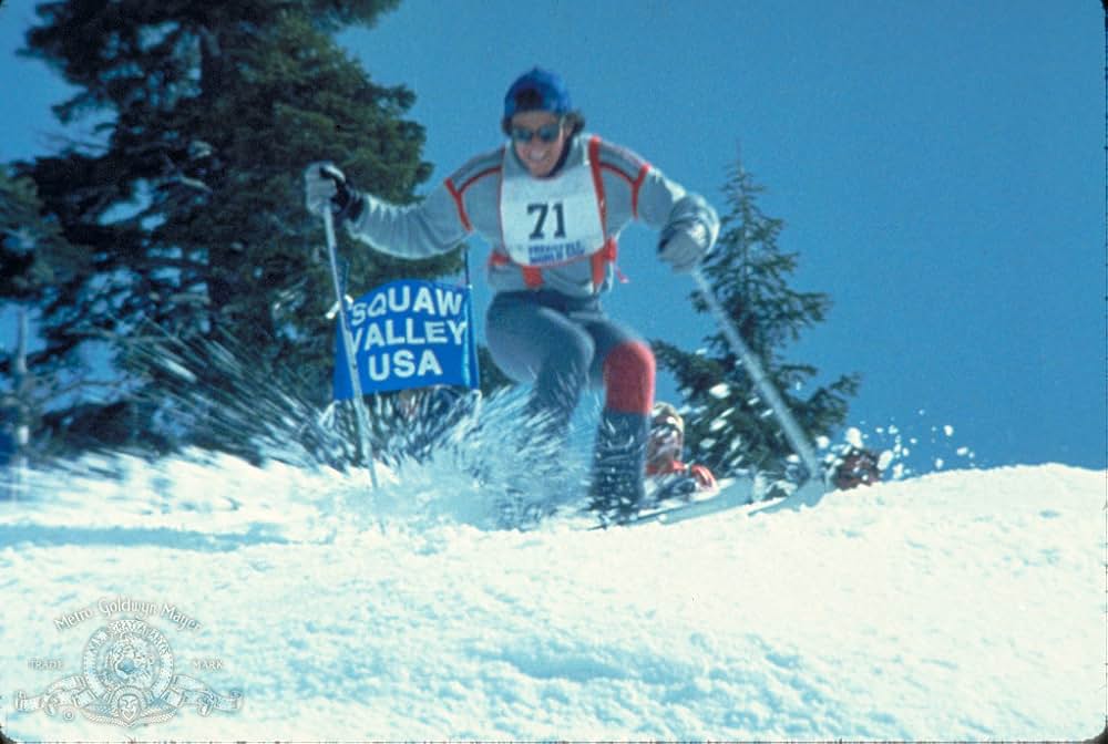 ホットドッグの画像