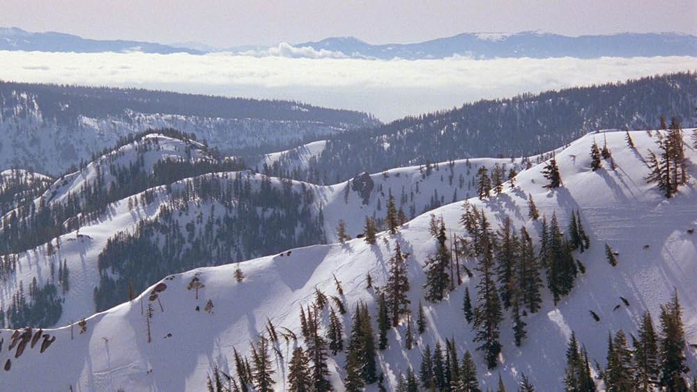 ホットドッグの画像