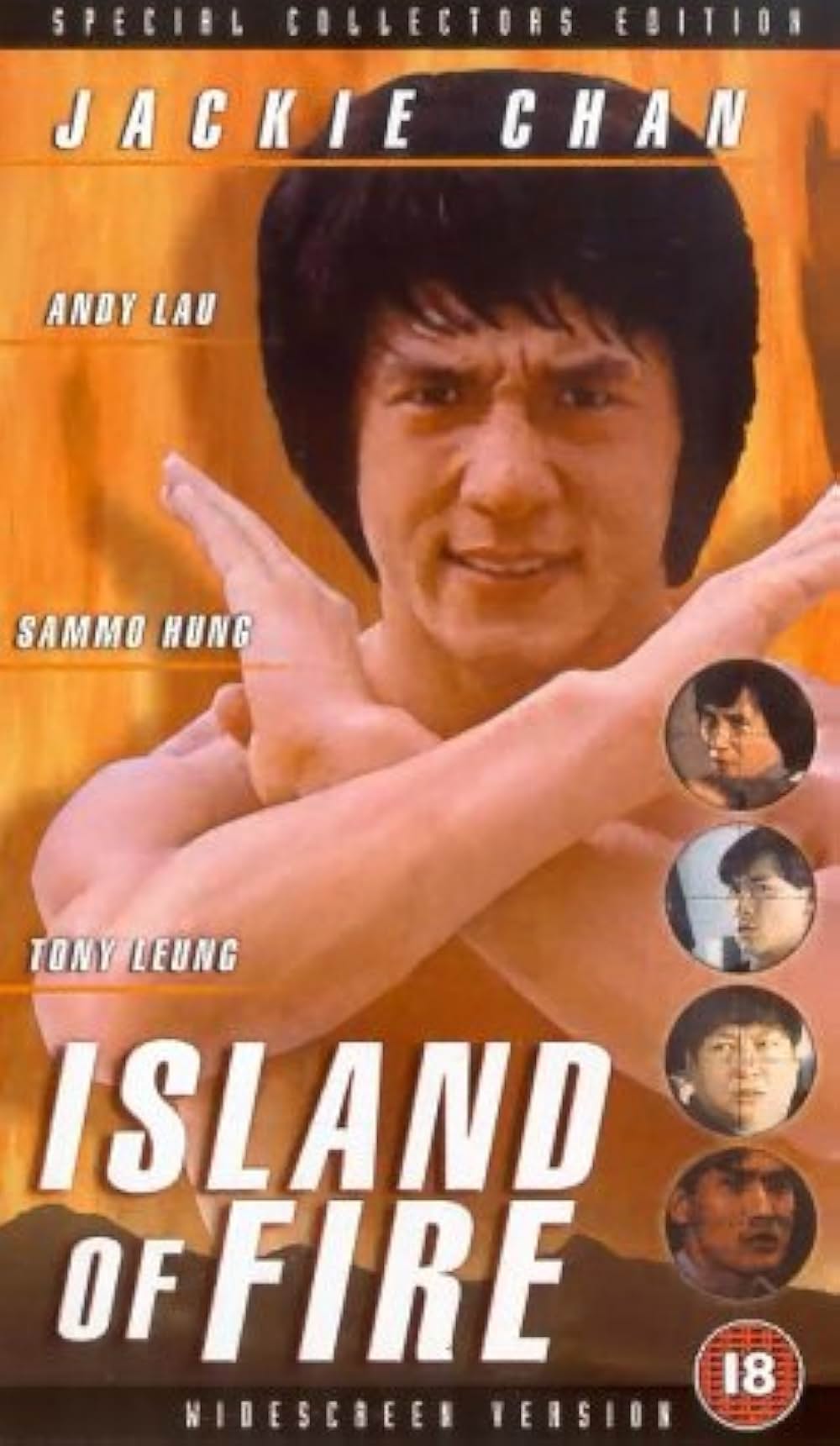 炎の大捜査線の画像