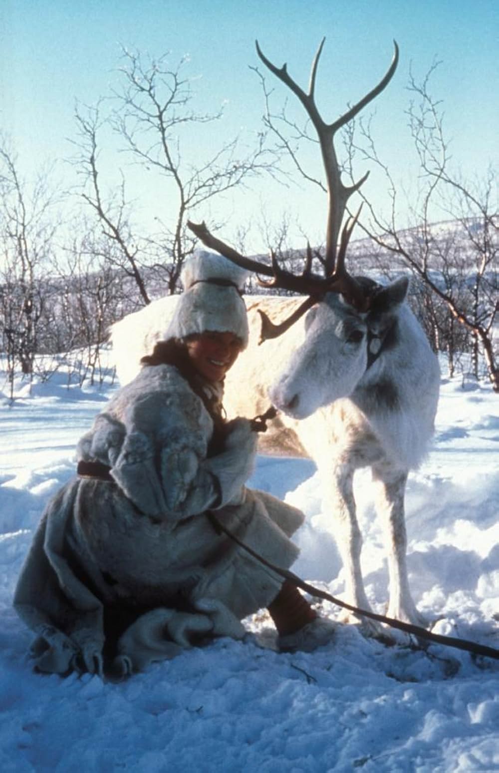ホワイトウイザードの画像