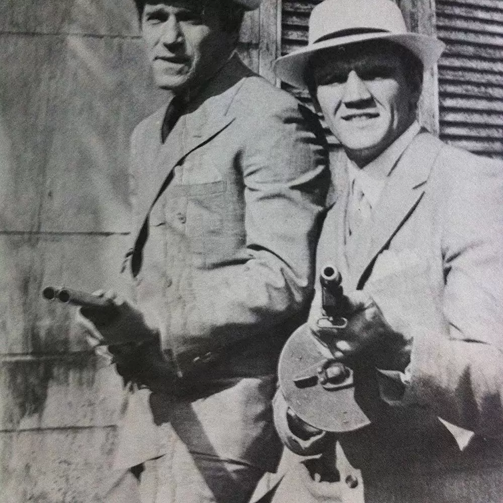 聖バレンタインの虐殺／マシンガン・シティの画像