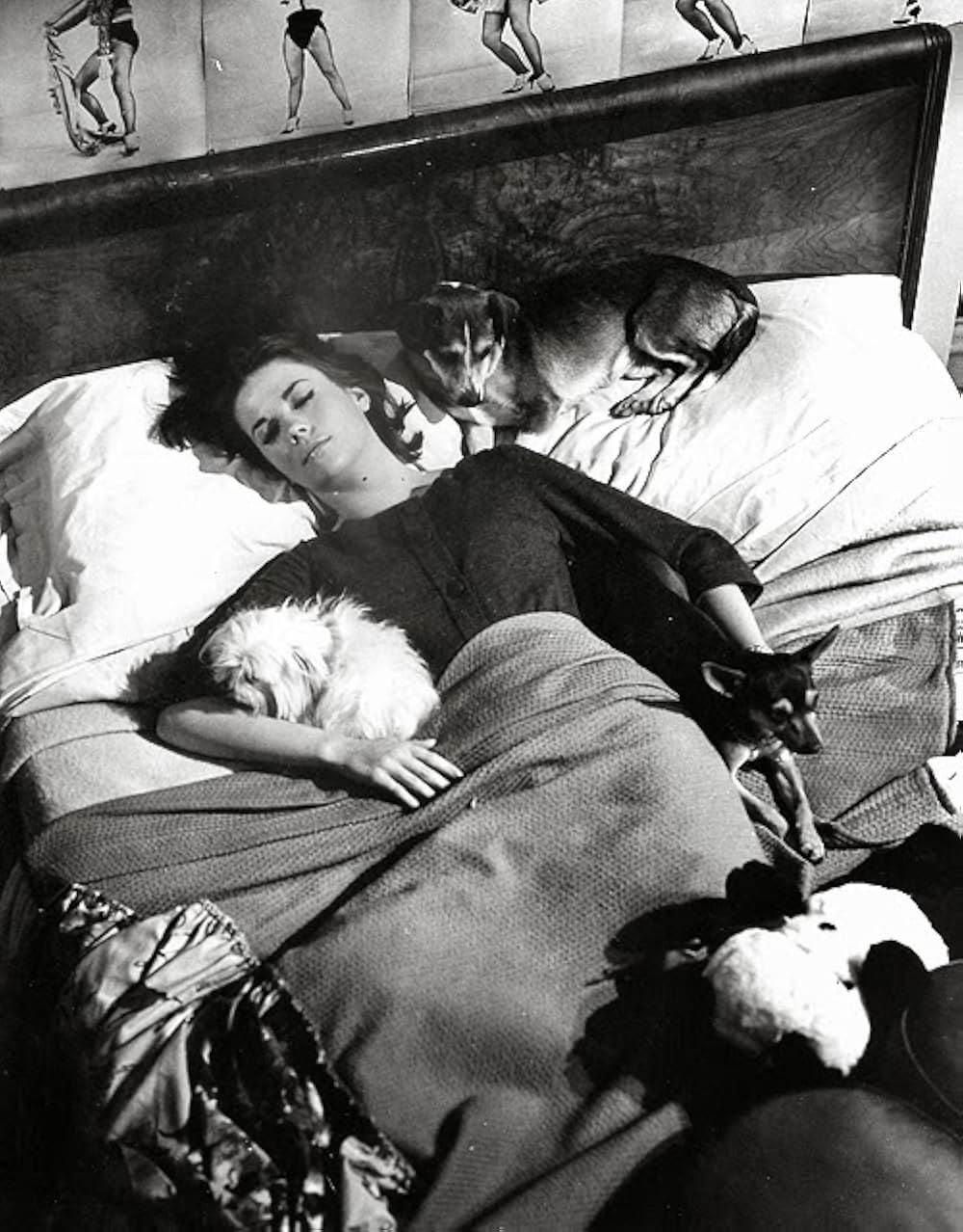 マンハッタン物語の画像