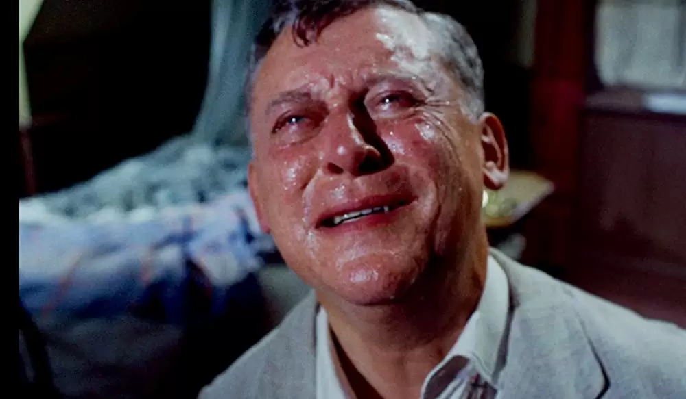 「ミイラ怪人の呪い」マイケル・リッパーの画像