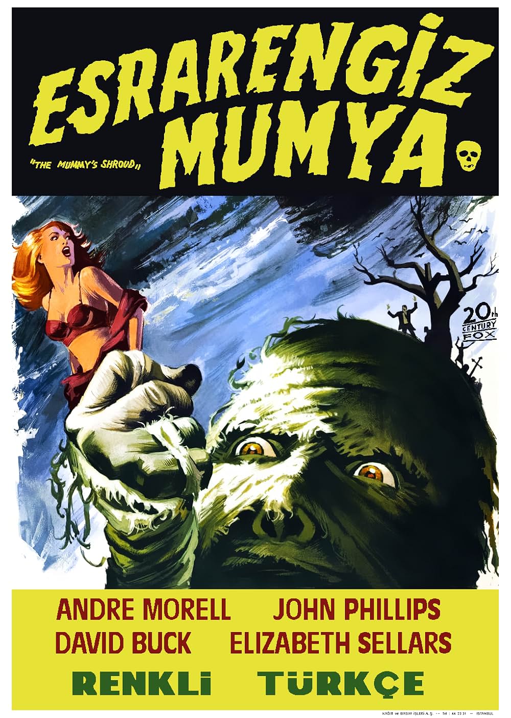 ミイラ怪人の呪いの画像