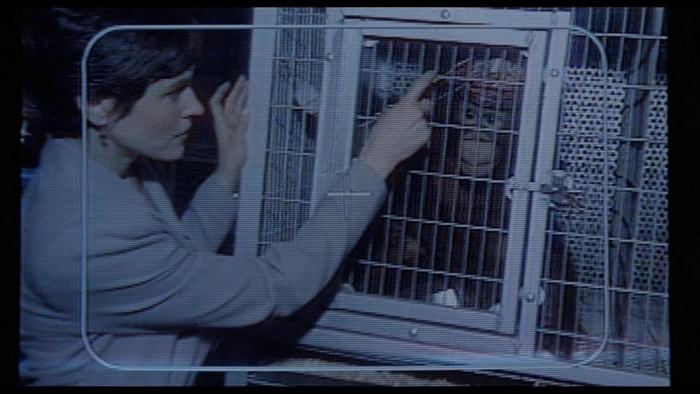 未確認生命体 MAX/マックスの画像