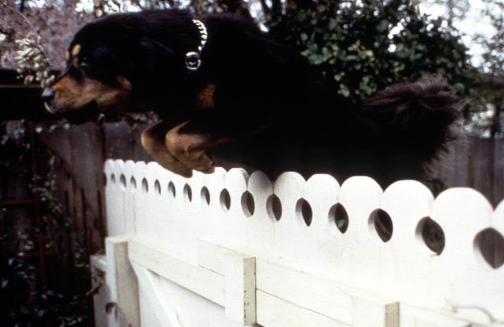 未確認生命体 MAX/マックスの画像