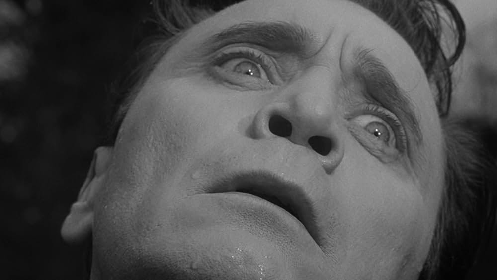 未知空間の恐怖／光る眼の画像