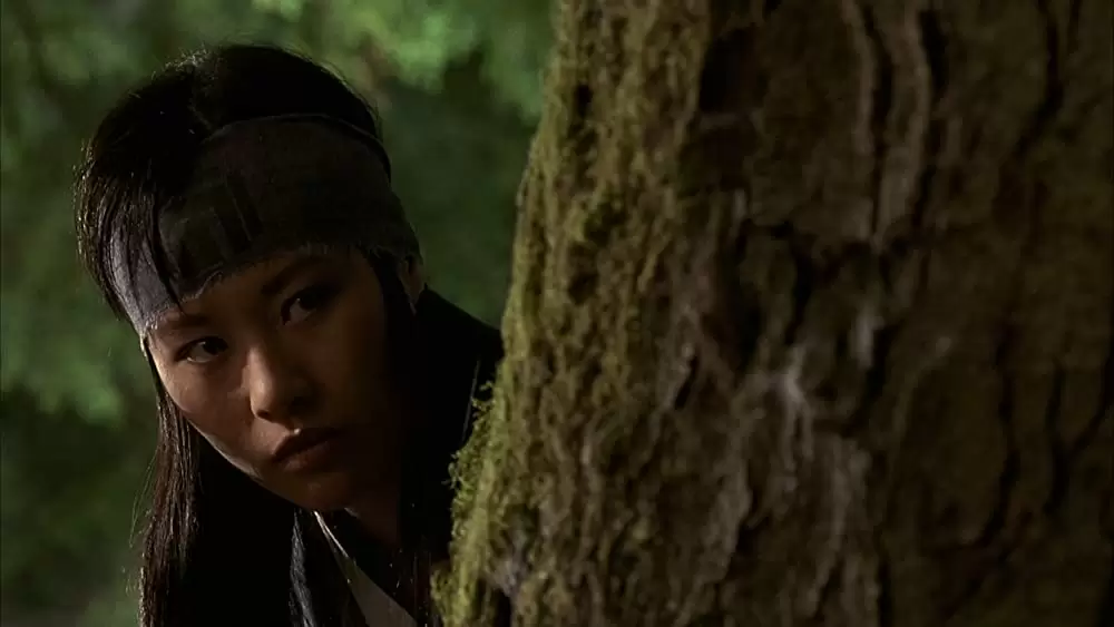 「ミュータント・ニンジャ・タートルズ3」ビビアン・ウーの画像