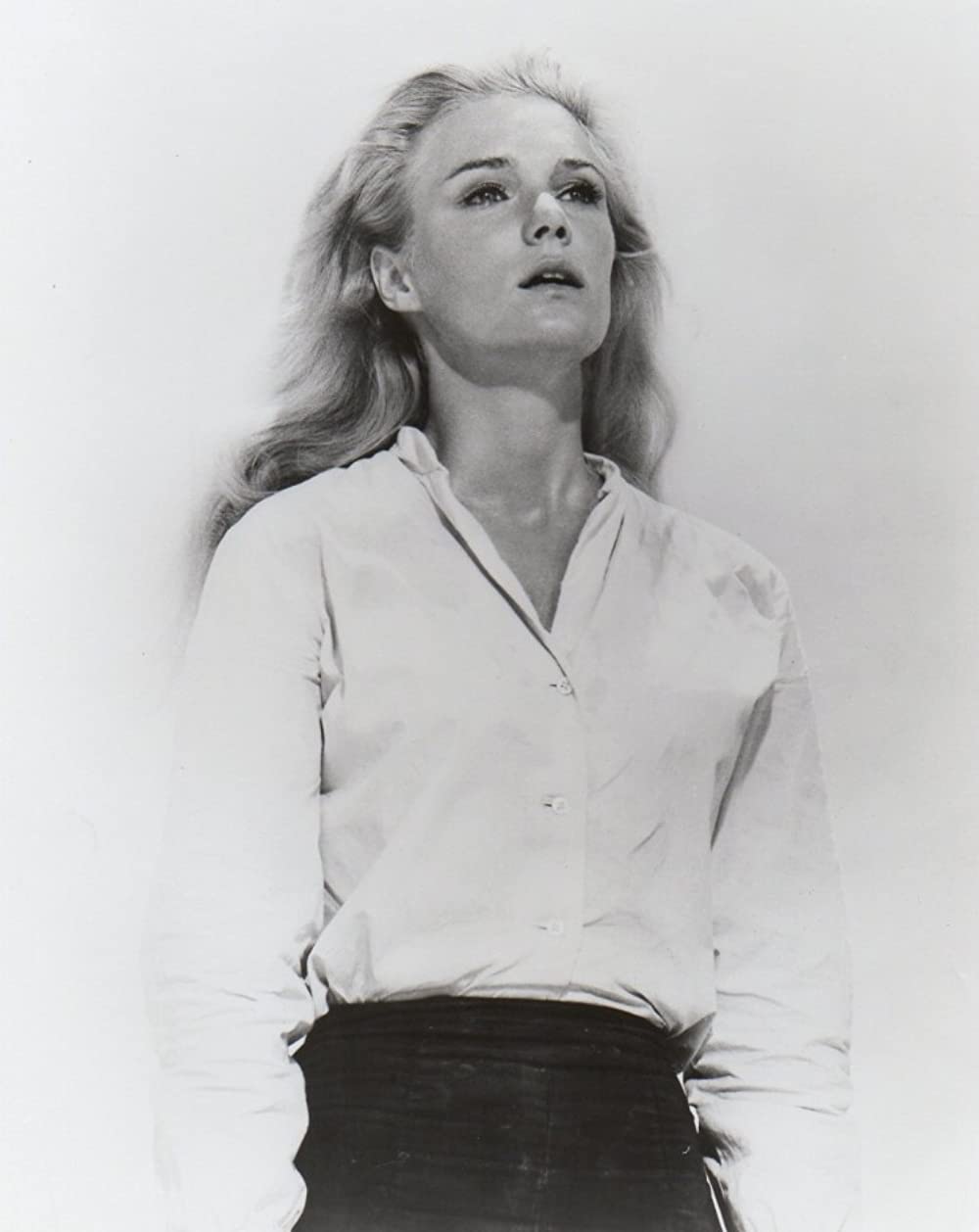 メキシコで死ねの画像