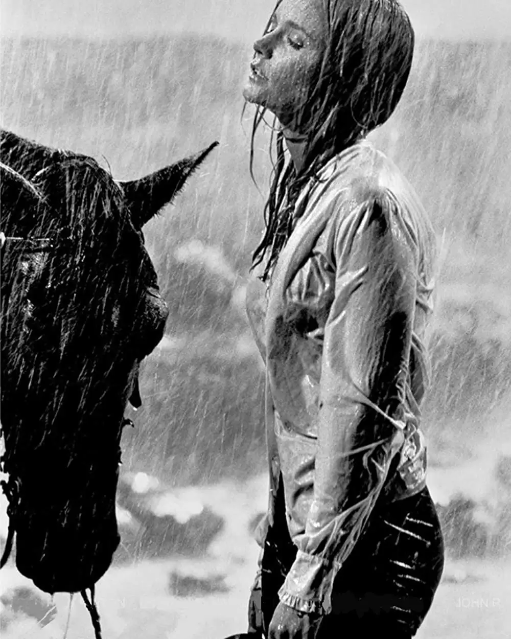 メキシコで死ねの画像